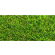 KUNSTENVIE2 Kunstgras Green Envie 2 m breed Luxueuze, zachte vezels in symbiose met een frisgroene kleurtint creëren de look van een perfect gemaaid gazon. Grashoogt van 35 mm.

Ontwikkeld volgens de modernste vezeltechnologie. Het gepatenteerd ellipsevormig systeem bestaat uit een combinatie van nerven en vezels die ervoor zorgen dat het kunstgras een mat, natuurlijk effect krijgt. De speciaal ontwikkelde, elastische vezels zorgen bovendien voor voldoende ondersteuning van de grasmat.

10 jaar fabrieksgarantie Kunstgras Green Envie